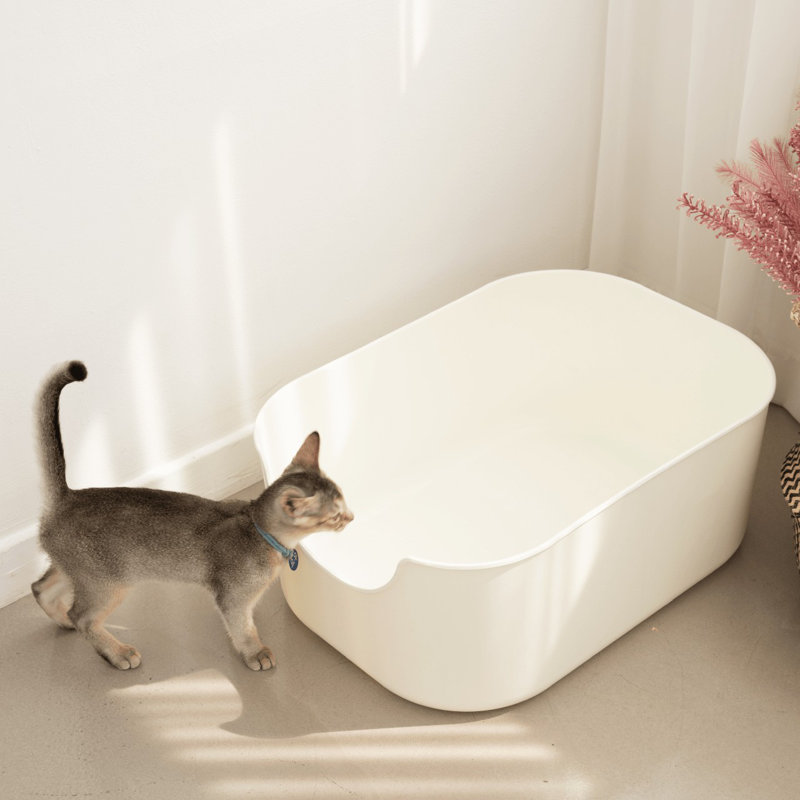 Tucker Murphy Pet™ Duguay Plastic Standard Litter Box & Reviews Wayfair